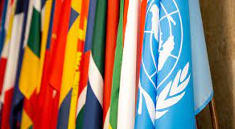 Mock United Nations Gilroy Catholic College Castle Hill