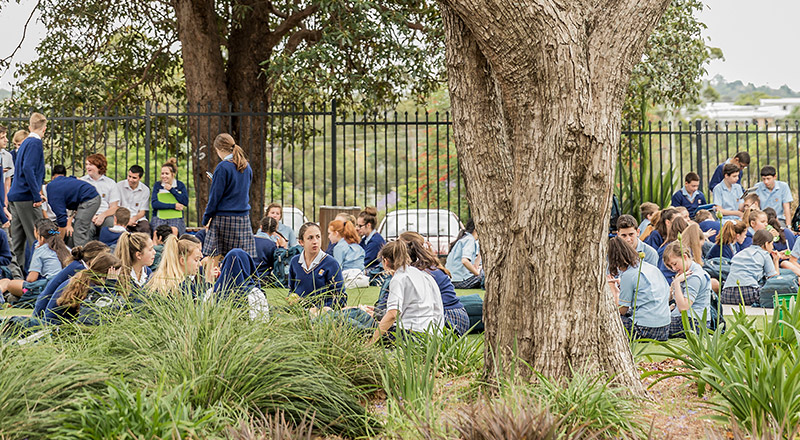Shaded grassy areas at Gilroy Catholic College Castle Hill