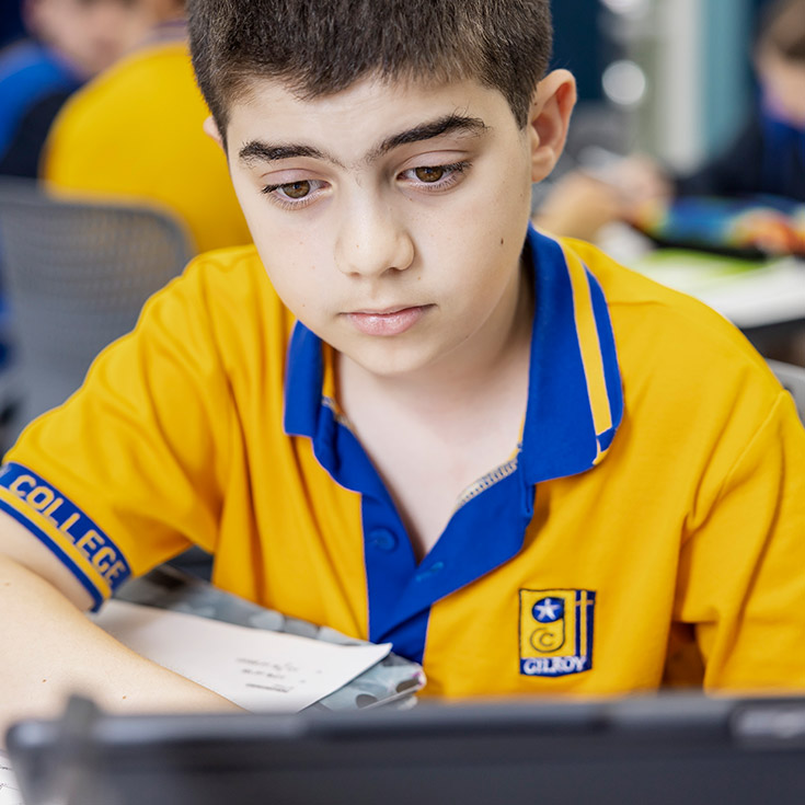 Annual School Report for Gilroy Catholic College Castle Hill