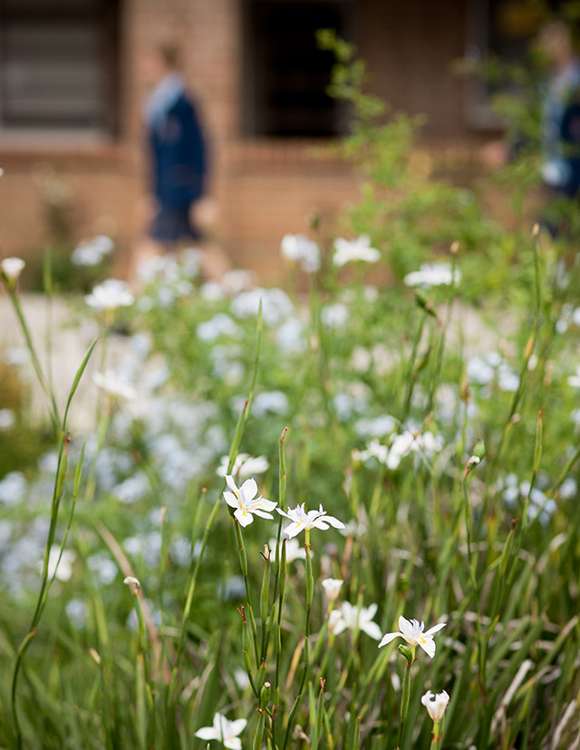 Gilroy Catholic College Castle Hill