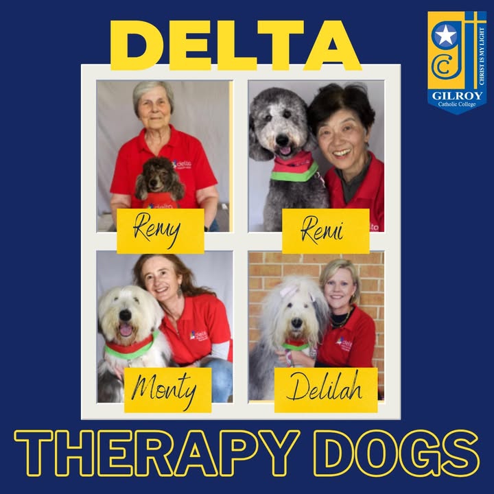 487763083351028_1417501120377215-1