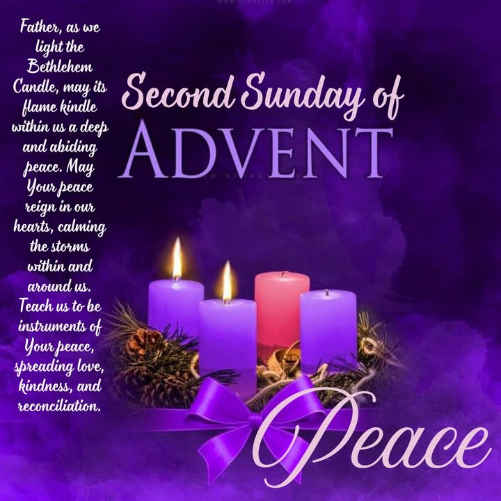 487763083351028_1421504429976884-1