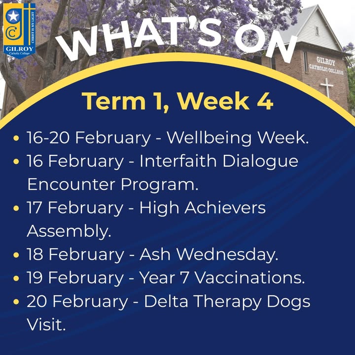 487763083351028_1481701570623836-1