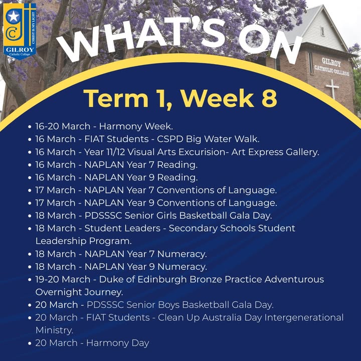 487763083351028_1506382294822430-1