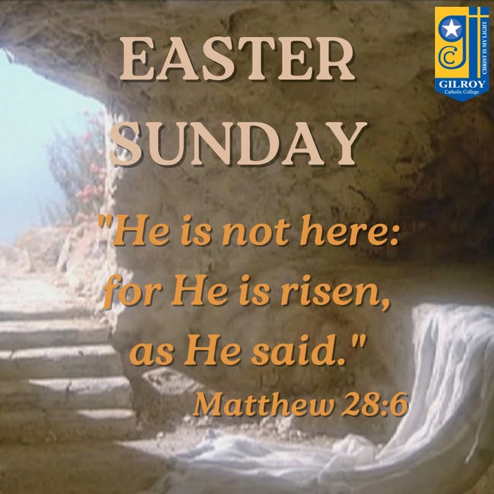 487763083351028_1524484776345515-1