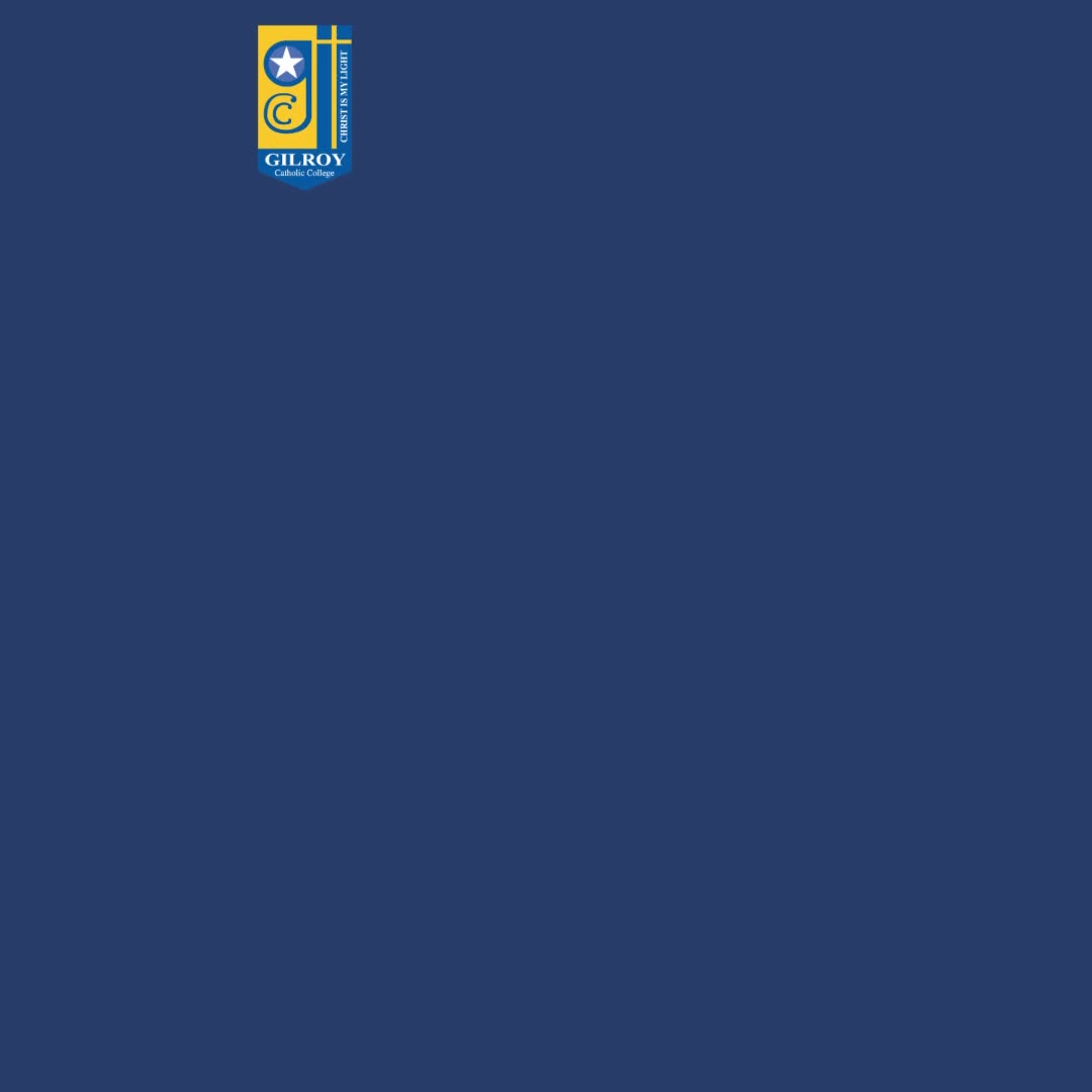 17916951453440870-1